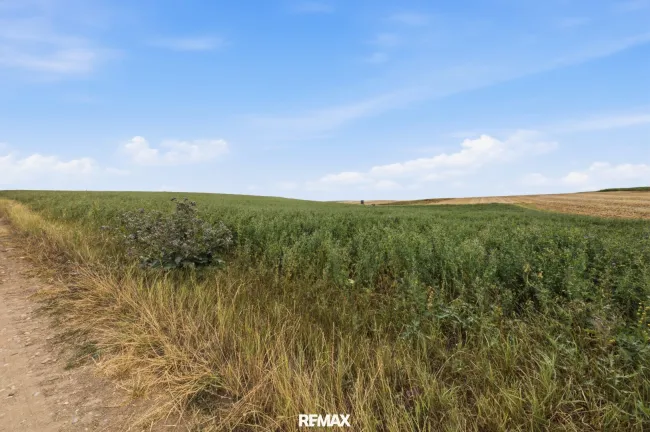 Landwirtschaftliche Fläche mit 7026 m² in Untermallebern zu verkaufen! - Titelbild