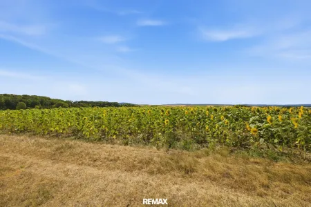 Landwirtschaftliche Fläche ´mit 7926 m² in Untermallebern zu verkaufen!
