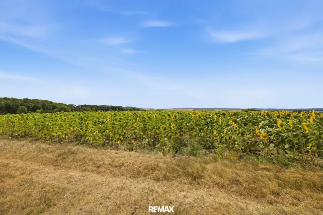 Landwirtschaftliche Fläche ´mit 7926 m² in Untermallebern zu verkaufen! - Titelbild