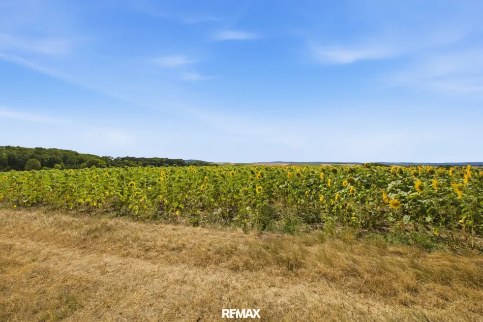 Landwirtschaftliche Fläche ´mit 7926 m² in Untermallebern zu verkaufen! - Titelbild