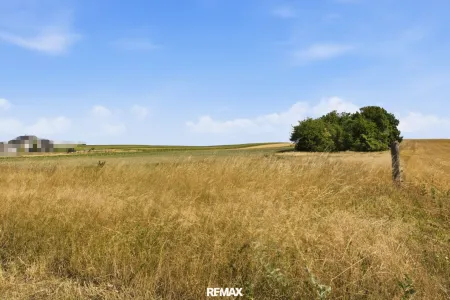 Wald- und landwirtschaftliche Fläche mit 20 370 m² in Untermallebern zu verkaufen!
