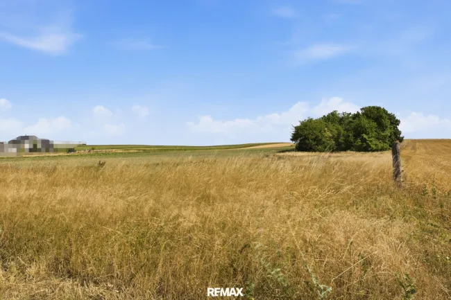 Wald- und landwirtschaftliche Fläche mit 20 370 m² in Untermallebern zu verkaufen! - Titelbild