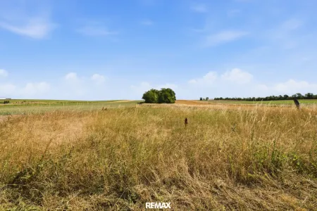 Wald- und landwirtschaftliche Fläche mit 20 370 m² in Untermallebern zu verkaufen!