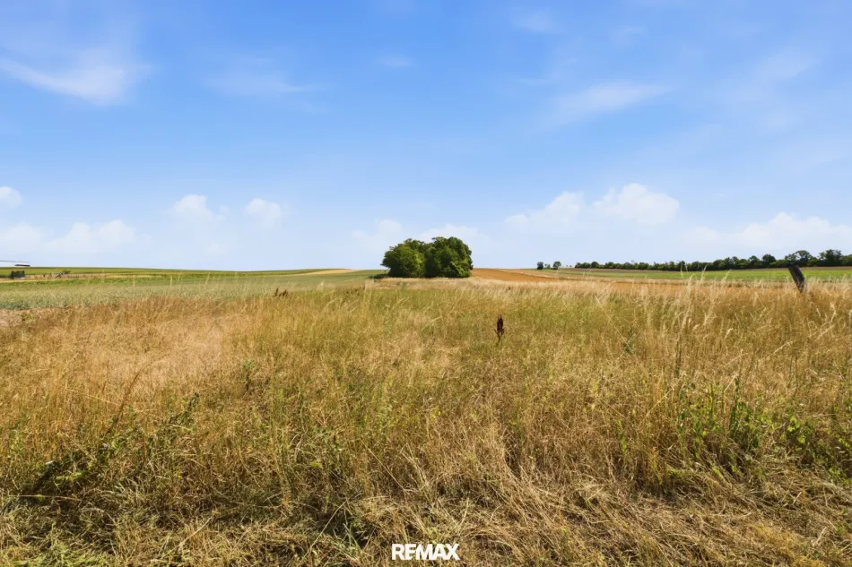 Wald- und landwirtschaftliche Fläche mit 20 370 m² in Untermallebern zu verkaufen! - Bild