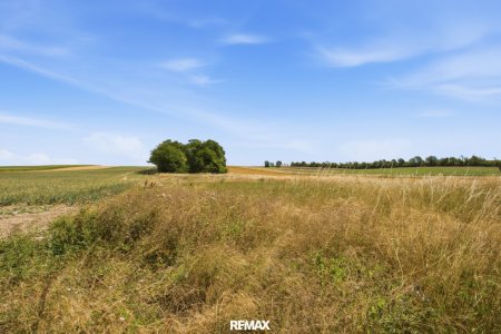 Wald- und landwirtschaftliche Fläche mit 20 370 m² in Untermallebern zu verkaufen!