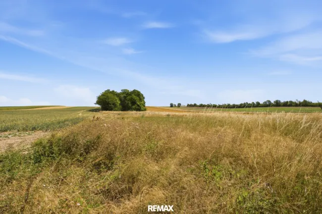 Wald- und landwirtschaftliche Fläche mit 20 370 m² in Untermallebern zu verkaufen! - Bild