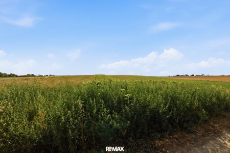 Landwirtschaftliche Fläche mit 6709 m² in Höbersdorf zu verkaufen!