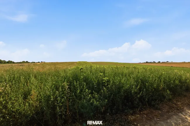 Landwirtschaftliche Fläche mit 6709 m² in Höbersdorf zu verkaufen! - Titelbild