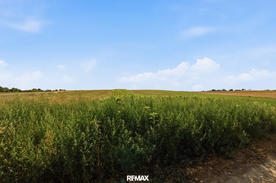 Landwirtschaftliche Fläche mit 6709 m² in Höbersdorf zu verkaufen! - Titelbild