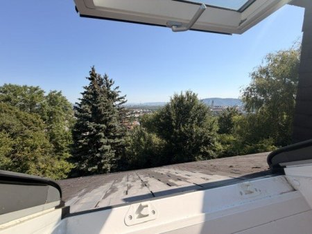 Grünruhelage in Klosterneuburg: Großzügiges Miethaus mit Einliegerwohnung, Sauna, Garten und außergewöhnlichem Fernblick