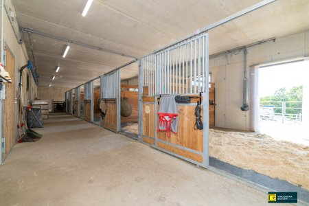 Pferdeparadies vor den Toren Wiens – Neu errichtete Reitanlage mit modernster Ausstattung