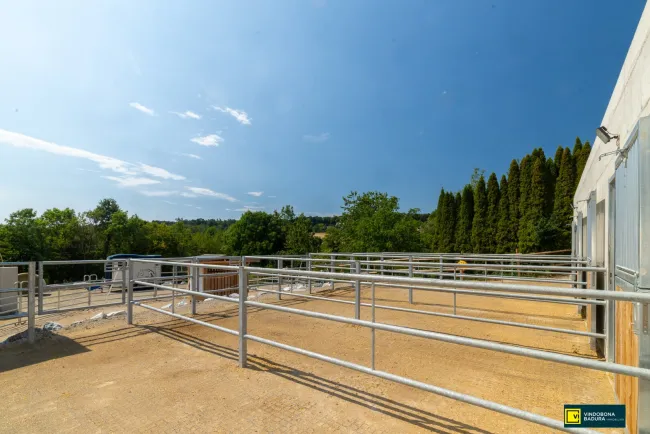 Pferdeparadies vor den Toren Wiens – Neu errichtete Reitanlage mit modernster Ausstattung - Titelbild