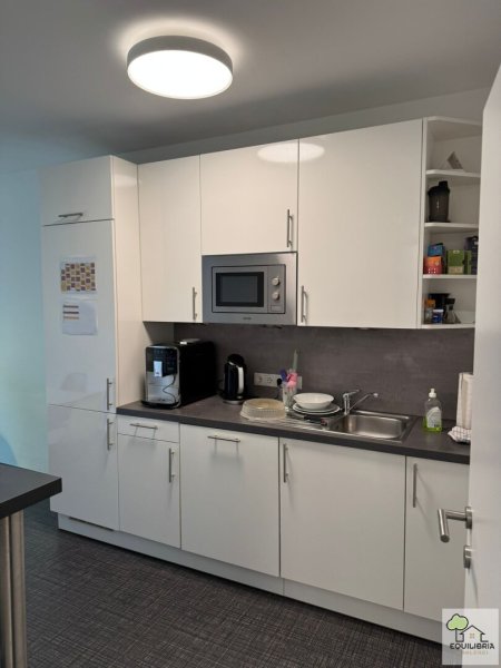 Moderne Bürofläche 174m² mit Terrasse und 4 Zimmern im EG, 1190 Wien