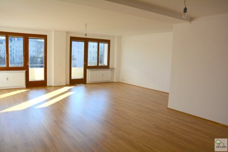 Innenstadt Apartment 131m² Nähe Schwedenplatz