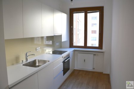 Innenstadt Apartment 131m² Nähe Schwedenplatz
