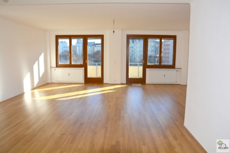 Innenstadt Apartment 131m² Nähe Schwedenplatz
