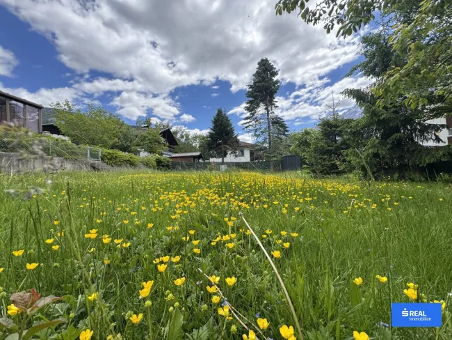Natur genießen. Zuhause schaffen. - Titelbild