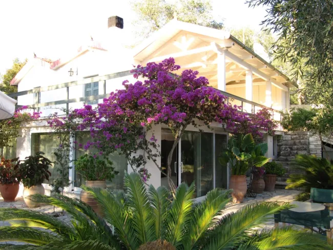 Gut geschnittene und gemütliche Villa mit Schwimmbad und Garten auf der Insel Paxos - Titelbild