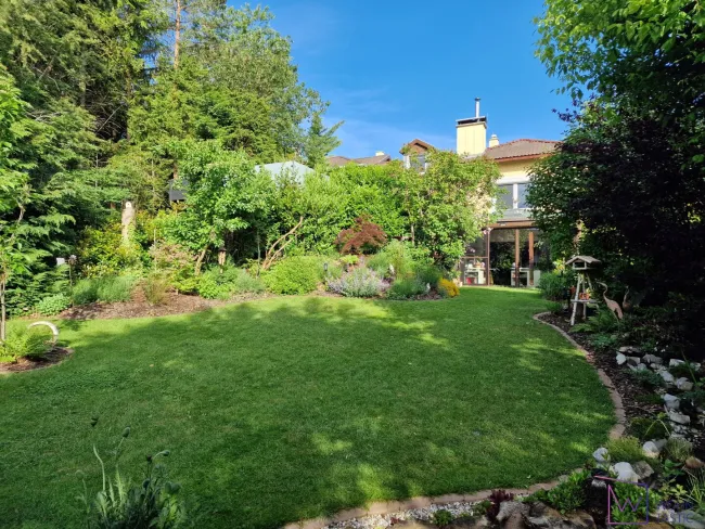 Blick vom Garten auf Terrasse und Haus