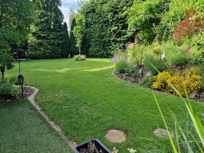 Nahezu uneinsichtiger Garten