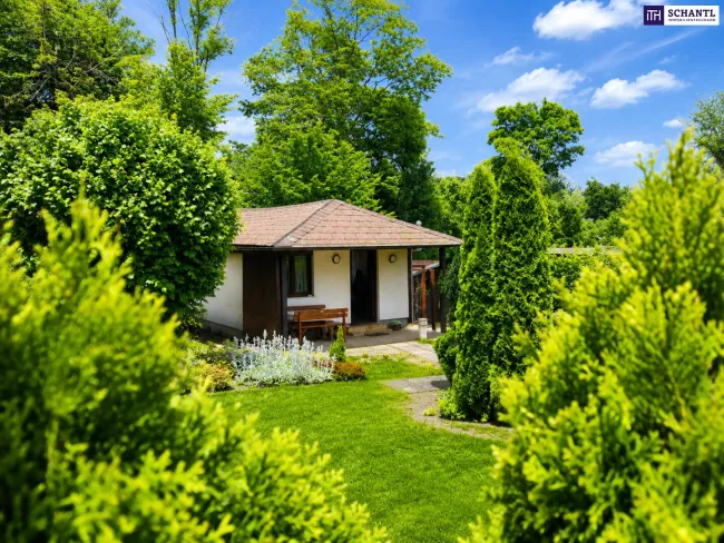 Grünes Refugium in Hietzing – Kleines Haus mit traumhaftem Eigengarten am Jennerplatz | Jetzt besichtigen! - Bild