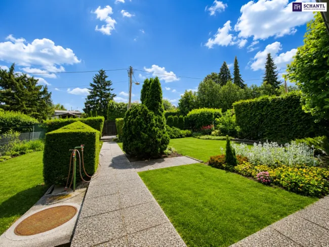 Grünes Refugium in Hietzing – Kleines Haus mit traumhaftem Eigengarten am Jennerplatz | Jetzt besichtigen! - Bild