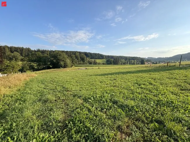 Sonniger Baugrund in malerischer Landschaft! - Bild