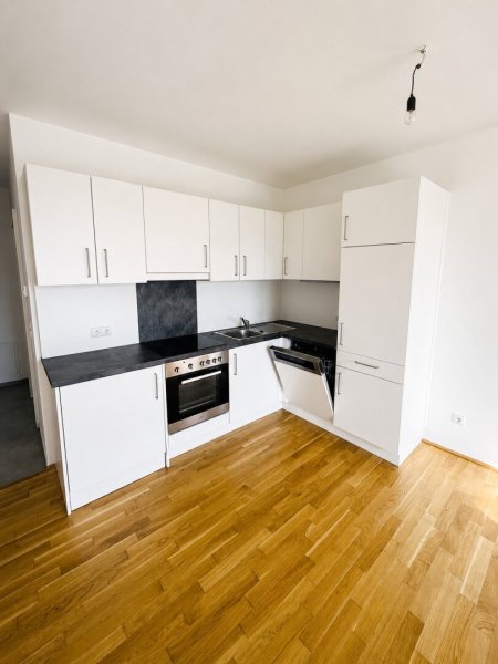 TRAUMWOHNUNG mit 3 Zimmern, Tiefgaragenparkplatz und herrlicher Terrasse in Graz