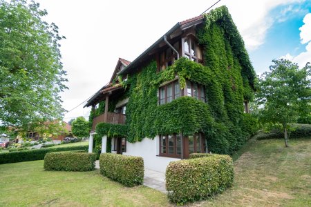 Idyllisches Einfamilienhaus mit Garten und Garage in Schwertberg zu kaufen