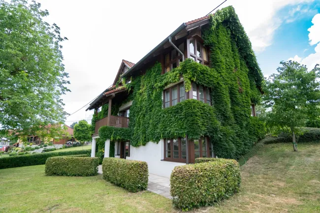 Idyllisches Einfamilienhaus mit Garten und Garage in Schwertberg zu kaufen - Bild