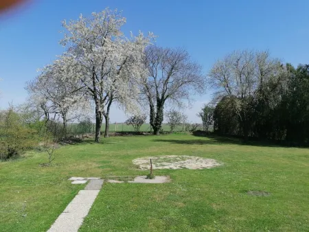 hinterer Garten