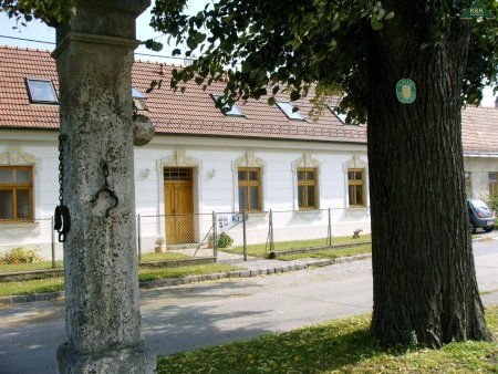 IM NATIONALPARK DONAUAUEN MIT TERRASSE & HOFSEITIGER GRÜNFLÄCHE - PROVISIONSFREI
