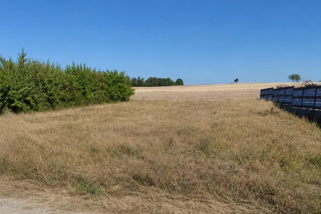Grundstück - Ansicht Strasse