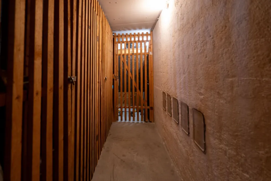 Tolle 3-Zimmer-Wohnung nahe der Freizeitanlage Wimpassing in Wels - Bild