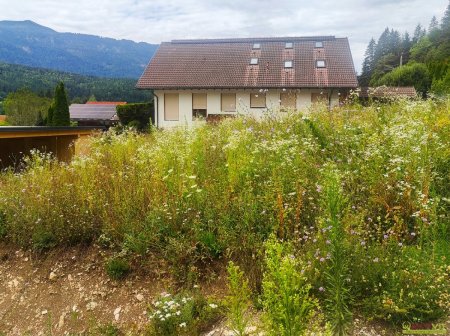 Bauland im Kurgebiet nahe Pressegger See – bis zu 1.426 m² Grundstücksfläche