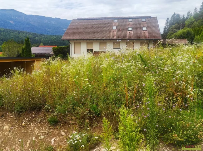 Bauland im Kurgebiet nahe Pressegger See – bis zu 1.426 m² Grundstücksfläche - Bild