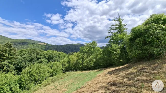 Idyllische Hanglage im Weitental - Bild