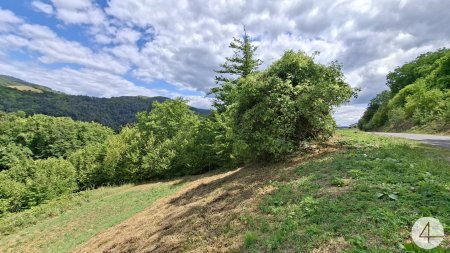 Idyllische Hanglage im Weitental