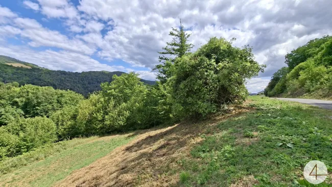 Idyllische Hanglage im Weitental - Titelbild