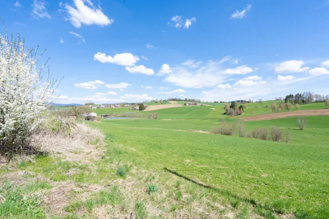 Landwirtschaftlicher Nutzgrund in Heinrichsberg ZU KAUFEN - Titelbild