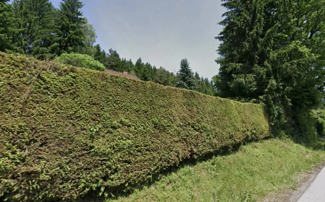Bereit für Ihr neues Zuhause – Baugrundstück ca.858m2 mit Gartenhütte & Heckenbestand!! - Titelbild