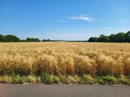 Blick zum Gegenüber