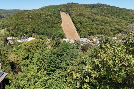 Blick mit der Drohne Richtung Hohe-Wand-Wiese