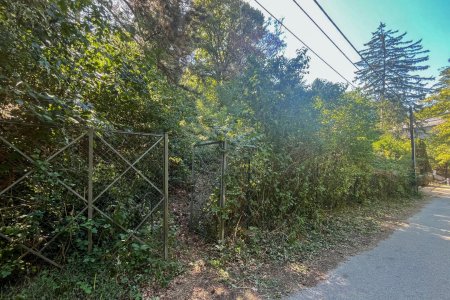 aktuelles Foto, Grundgrenze zur Privatstraße