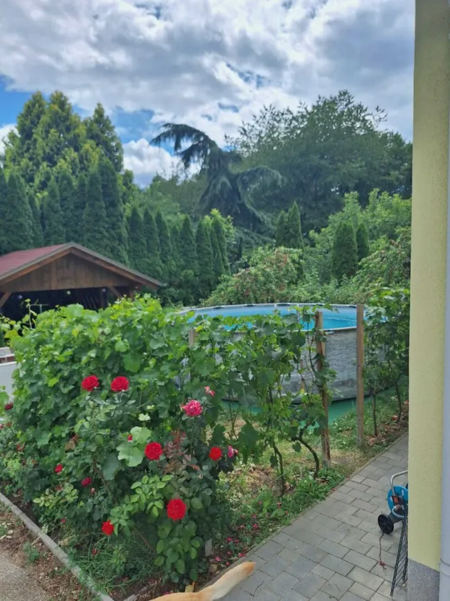 NEUER PREIS Großzügiges Haus in Maria Rojach mit Terrasse, Balkon, Kamin & Solar! - Bild