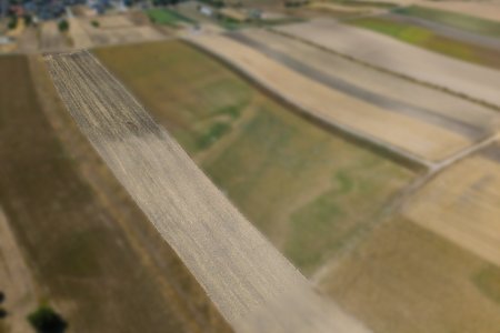 Landwirtschaftliches Grundstück in der KG Auersthal - 4169m2