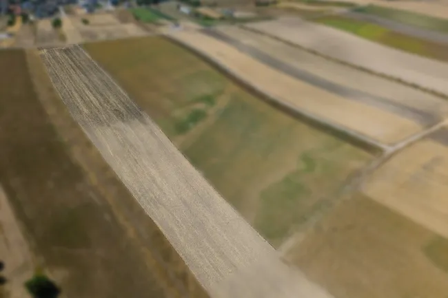 Landwirtschaftliches Grundstück in der KG Auersthal - 4169m2 - Titelbild