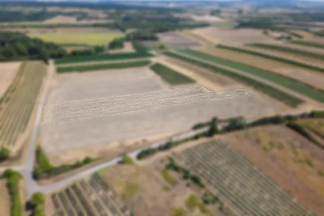 Landwirtschaftliches Grundstück in der KG Bockfließ - 4277m2 - Titelbild
