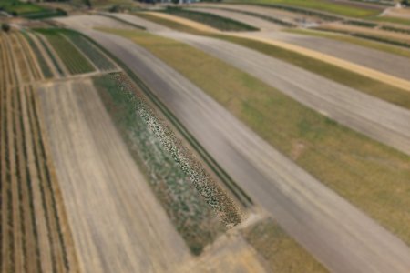 Landwirtschaftliches Grundstück in der KG Auersthal - 816m2