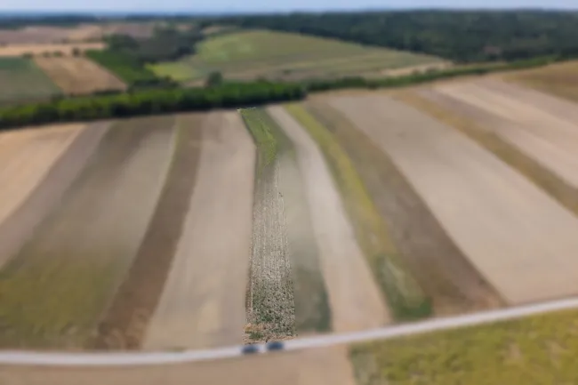 Landwirtschaftliches Grundstück in der KG Auersthal - 3103m2 - Titelbild